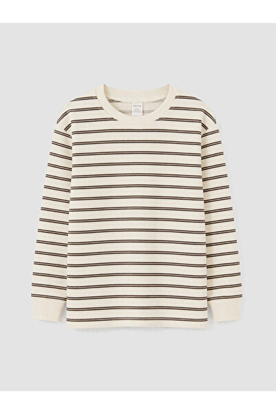 LC Waikiki Two Mt Shop Quality Lcw Kids Brown Interlock Striped Standard & Re...