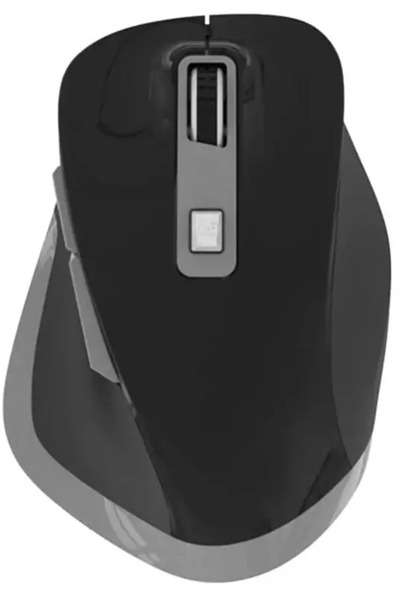 Omega Mouse wireless reincarcabil USB-C negru GRI OMC526RWBG