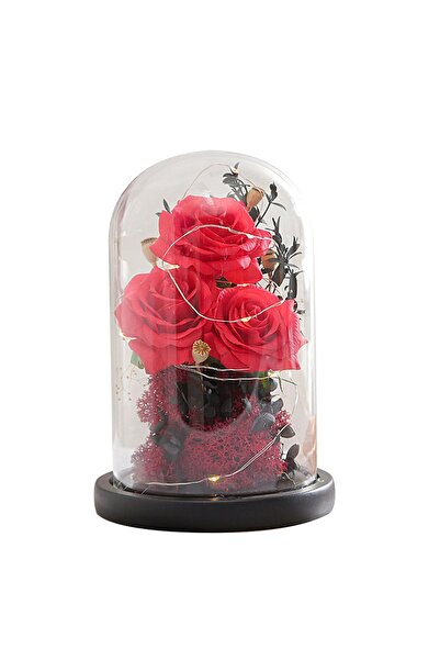 Noonedibs Trandafir Infinit în Glob de Sticlă cu Lumină LED – Cadou Romantic ...