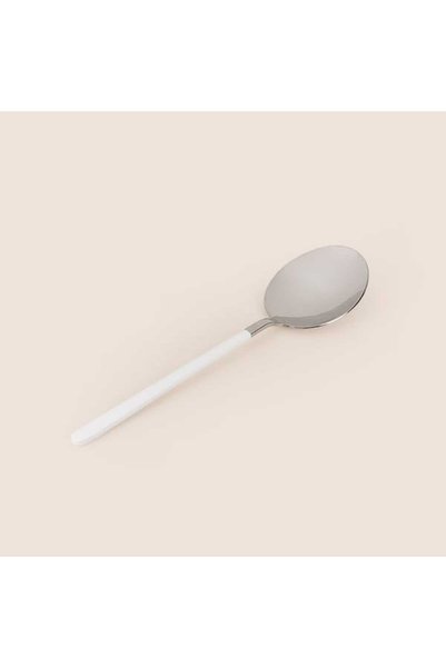 Evidea Kitchen Raya Servis Kaşığı - Platin / Beyaz