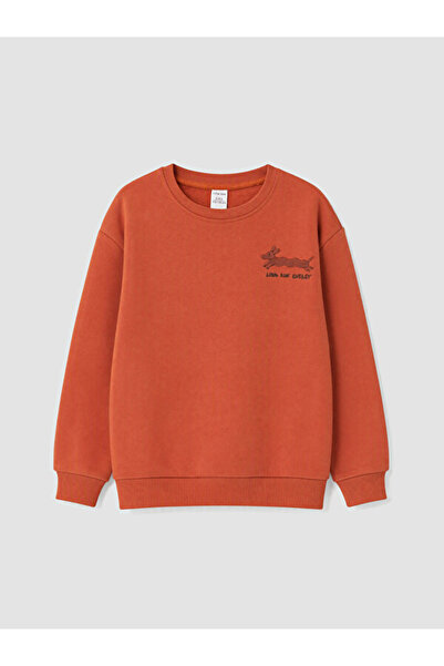 LC Waikiki Sparkling Choices from Shining Store Embroidered Boys' Thick Sweat...