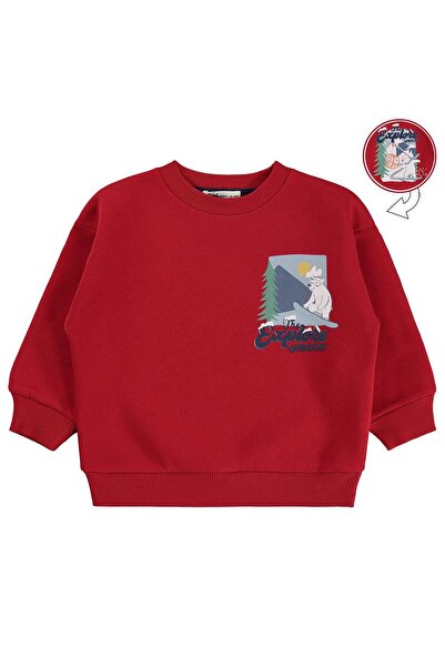 Civil Boys Civil Boy's Explore Printed Sweatshirt |   3 Thread Long Arm |   S...