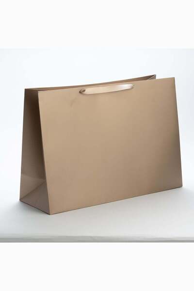 Meidi Packing Meidi Cardboard gift bags 57x40x20 cm Gilded - Set of 20 pieces