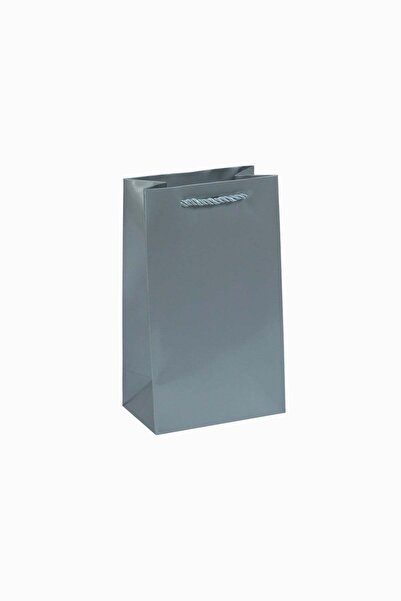 Meidi Packing Meidi Cardboard gift bags 13x22x8 cm Silver - Set of 20 pieces
