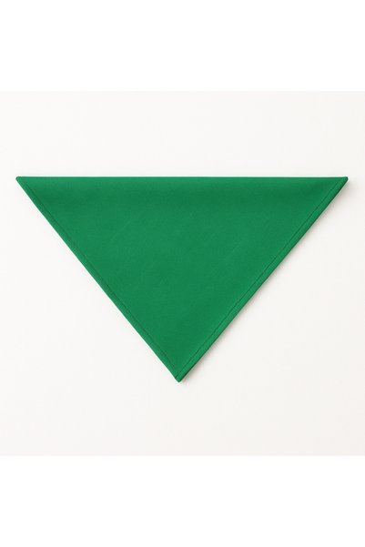 Tremblay Eșarfă 85 x 64 x 64 cm VERDE