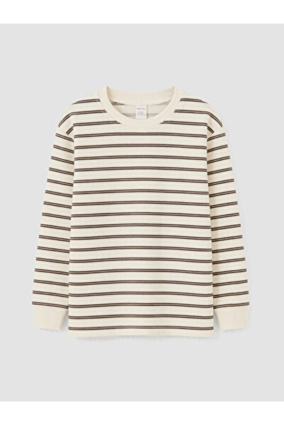 LC Waikiki Timeless Clothing & Timeless Choices Striped Boys' T-Shirt