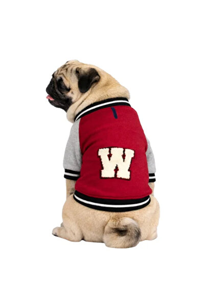 GedyCo W Polarlı Küçük Irk Köpek Kolej Sweatshirtü