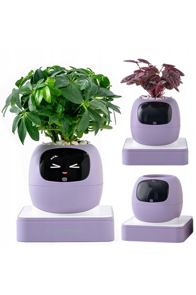 NO BRAND Jardinieră inteligentă IVY Gen 2 JARDINIERĂ INTERACTIVĂ INTELIGENTĂ ...
