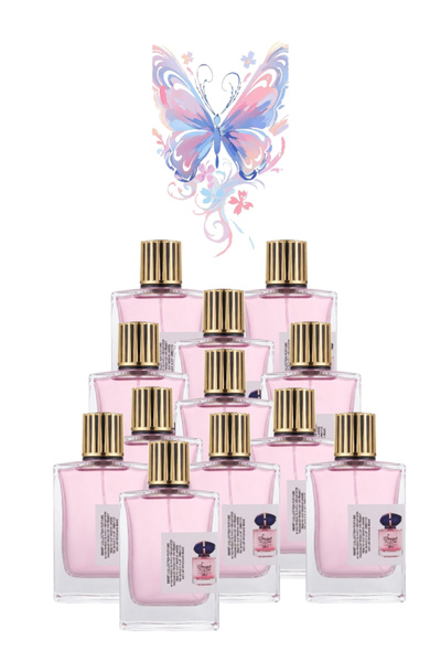 Smart Collection 12 Pieces No. 581 Perfume 100 ML