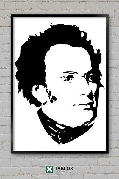 TABLOX Franz Šubert Kompozitor Klasična muzika Nemački poster Okvir Izgled De...