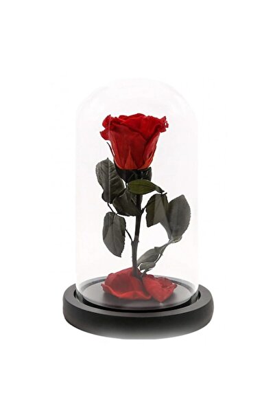 odjas Trandafir criogenic roșu intens, Rose Amor, cupolă elegantă din sticlă ...