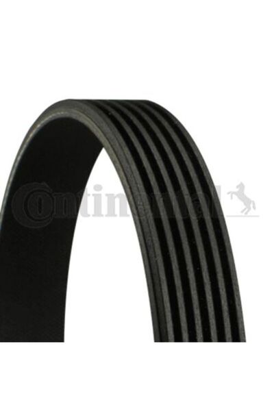 CONTITECH 6PK1880 Kanallı Kayış Opel Signum Vectra 2.0 2.2dtı 16 VW Polo 1.2 6v 12v 01 05 Audi 02 05 Seat MİT