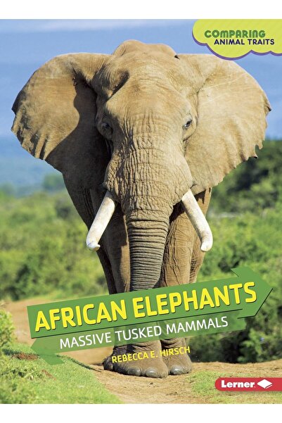Lerner Publishing Group African Elephants