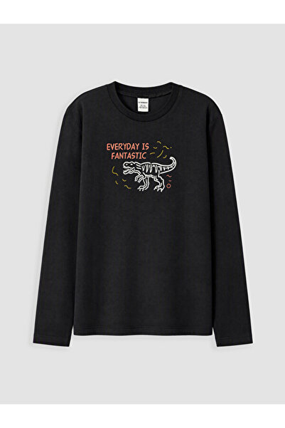 LC Waikiki Crew neck printed boys' t-shirt