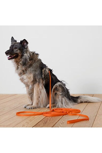 Tchibo Dog Collar, Orange