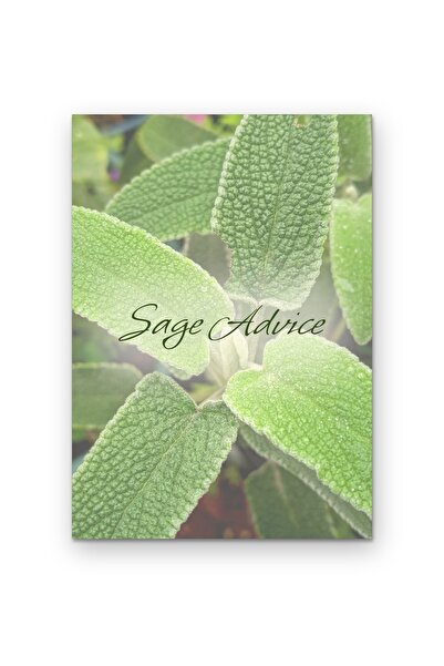 OEM Poster Carton 250g A4, Citate Motivationale Intelepciunea Inteleapta, Dec...