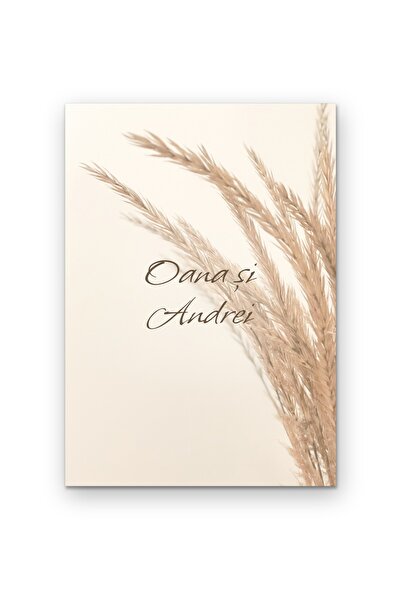 OEM Poster Tablou de Perete Cu Citat Oana și Andrei, Cadou Personalizat, Cart...