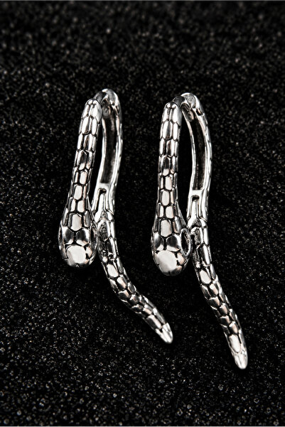 ömay takı Snake Mod Pattern Steel Lockable Hoop Earrings