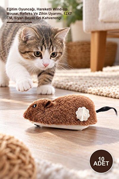 Yenilig 10 Pieces Wind-Up Mouse Cat Toy – Educational Toy, Moving Wind-Up Mou...