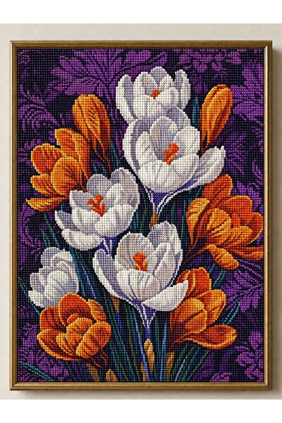 DNZt 5D Diamond Painting 30x40 cm Elmas Mozaik Boncuklu Taşlı Goblen Pano Tab...