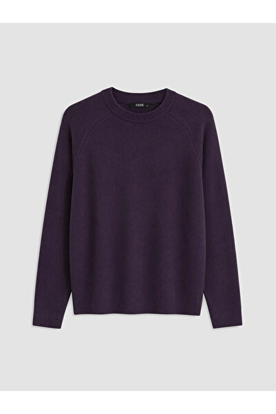 LC Waikiki Purple Crew Neck Men's Knitwear Sweater
