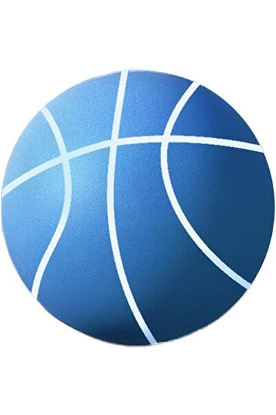 GENERAL Silent Basketball, Size 3-7 Foam Indoor Training Ball, High Density E...