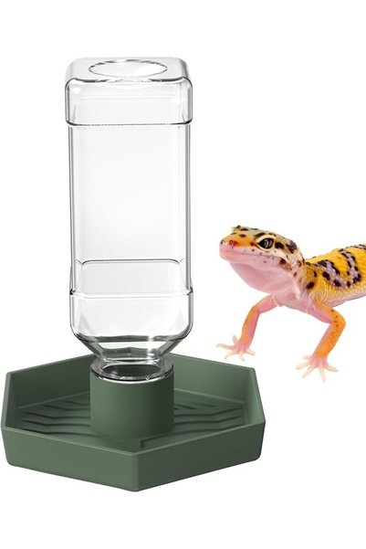 NOMOY Reptile Water Dispenser Bowl for Bearded Dragon Tortoise(Grey Green S)