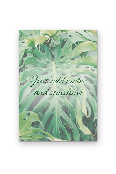 OEM Poster Carton 250g A4, Just add water and sunshine, Decor perete motivant