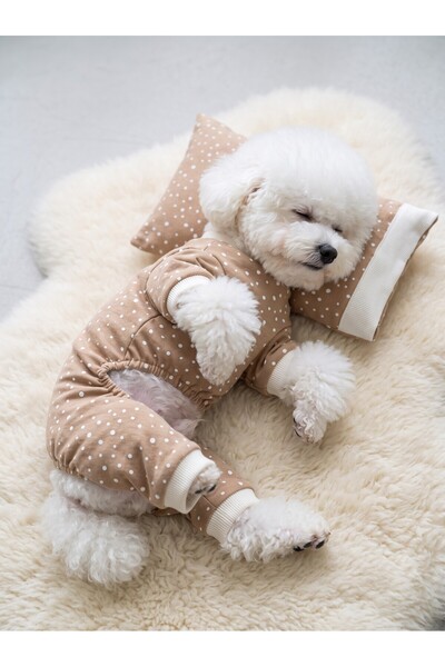 Kemique Latte Sprinkles Köpek Uyku Takımı | Pamuklu Penye Köpek Tulumu ve Min...