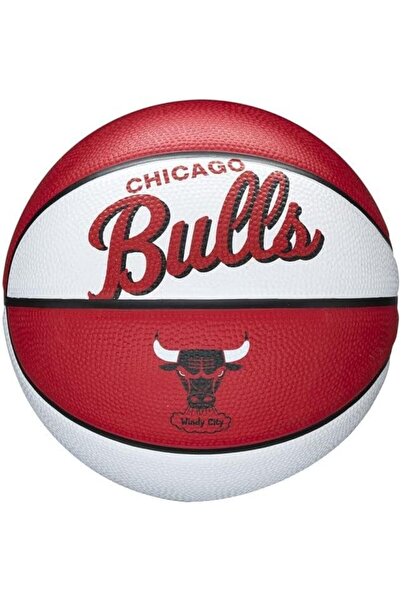 Wilson NBA Alliance Series Basketballs - Team Logo Basketballs - 29.5" and Mi...