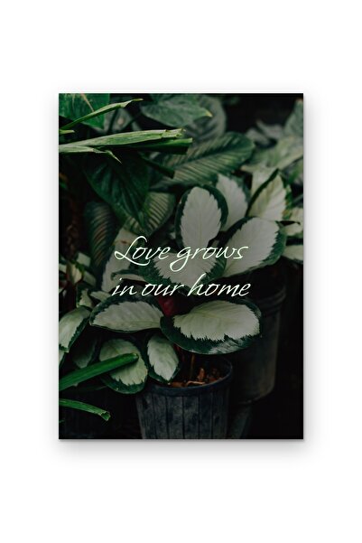 OEM Poster Carton 250g A4 Dragostea creste in casa noastra, Decor perete, For...