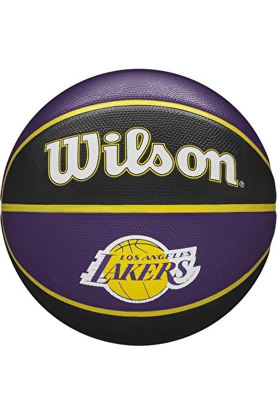 Wilson NBA Team Tribute Basketballs