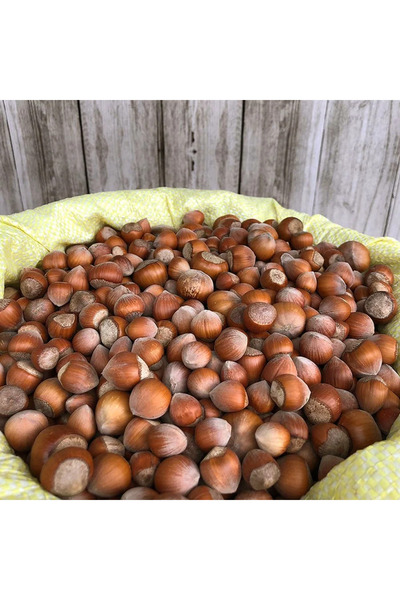 Kabuklu organik fındık 4 kg