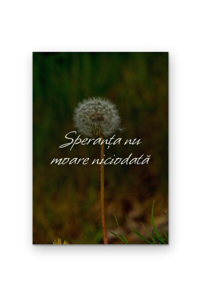 OEM Poster Decorativ Perete Speranța Nu Moare Niciodată, Mesaj Inspirațional,...