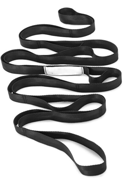 GENERAL Stretching Strap Yoga Strap Physical Therapy for Home Workout, Exerci...