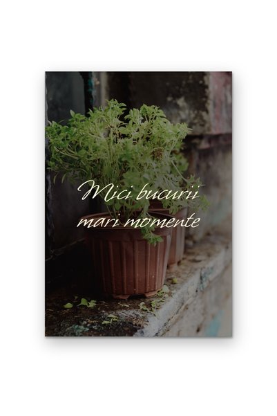 OEM Poster Decorativ Mici Bucurii Mari Momente, Design Minimalist, Carton 250...