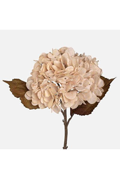 OEM Floare Artificiala cu Tulpina Scurta Hortensie Crem 46cm