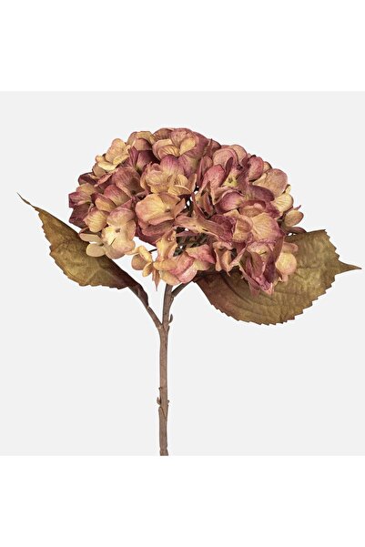 OEM Floare Artificiala cu Tulpina Scurta Hortensie Bej 46cm