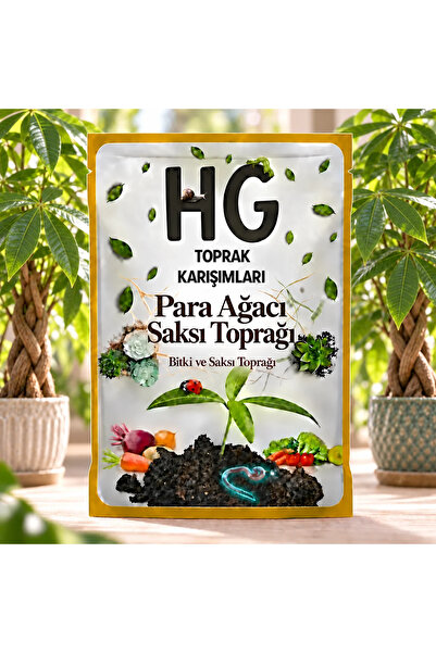 HG Para Ağacı Saksı Toprağı 5 Lt