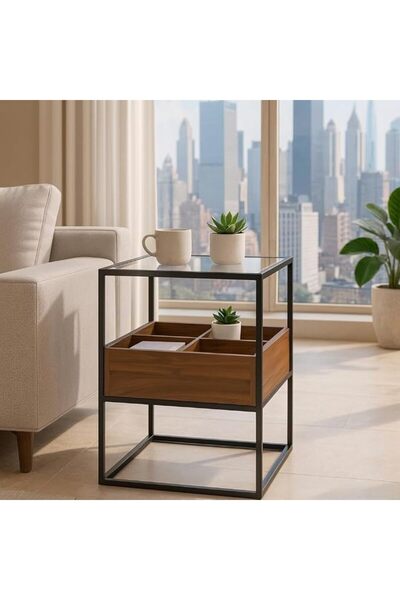 MARIA HOMES Modern Side Table with Storage Organizer, End Glass Top, Wooden N...