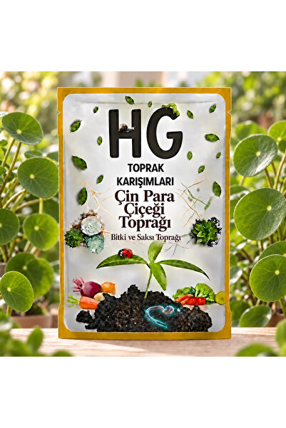 HG Çin Para Çiçeği (Pilea) Saksı Toprağı 5 Lt