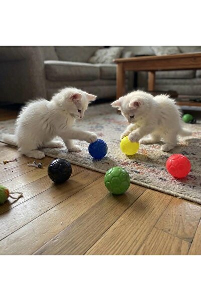 kedi oyuncağı zıp zıp top