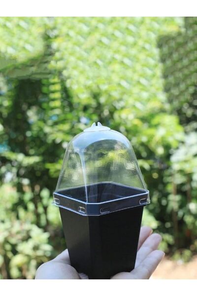 Skin Generics Seed Starter Kit with Humidity Dome