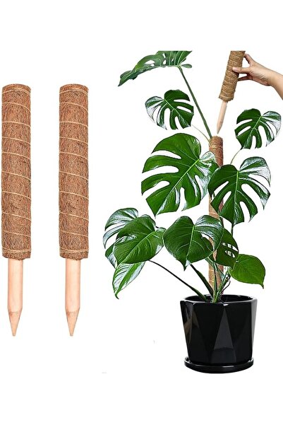 GENERAL Toriseek Moss Pole, 40cm/16inch Monstera Plant Support for Climbing P...