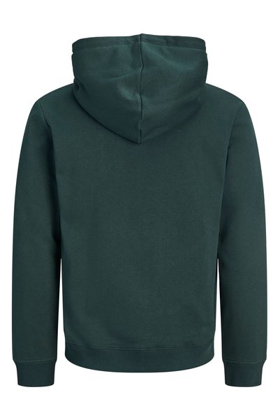 Jack & Jones Erkek Gögüs Baskili Regular Fit Kapüsonlu Sweatshirt - Aero