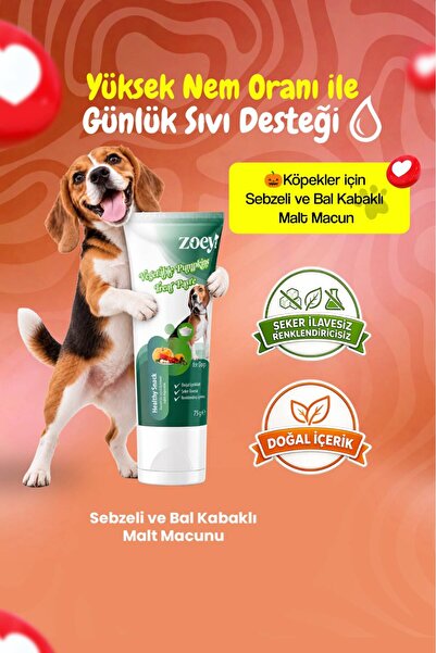 Zoey Köpekler İçin Sebzeli ve Balkabaklı Malt Macun