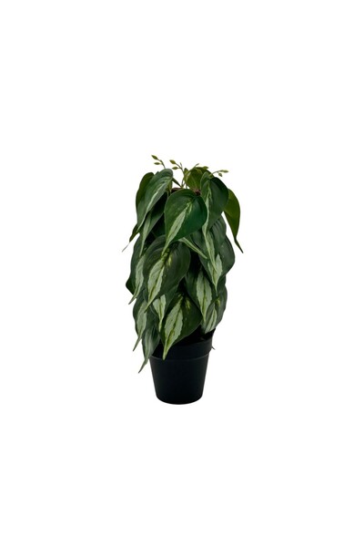 B&D Artificial Plant – Decorative Greenery for Home, Office and Interior Décor