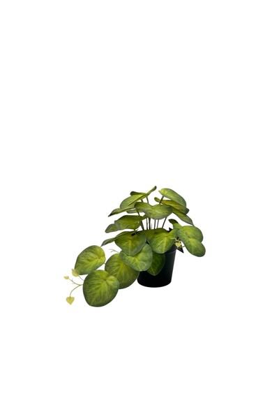 B&D Artificial Plant – Decorative Greenery for Home, Office and Interior Spaces