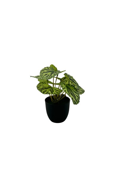 B&D Artificial Plant – Decorative Greenery for Home, Office and Interior Décor