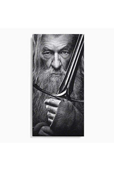 Luxcanva Tablou Canvas Vrajitorul Cu Sabie 50x100 cm pe Sasiu Lemn Pamantul d...
